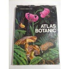 ATLAS BOTANIC - Lucia Popovici 1973