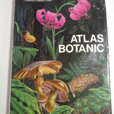 ATLAS BOTANIC - Lucia Popovici 1973