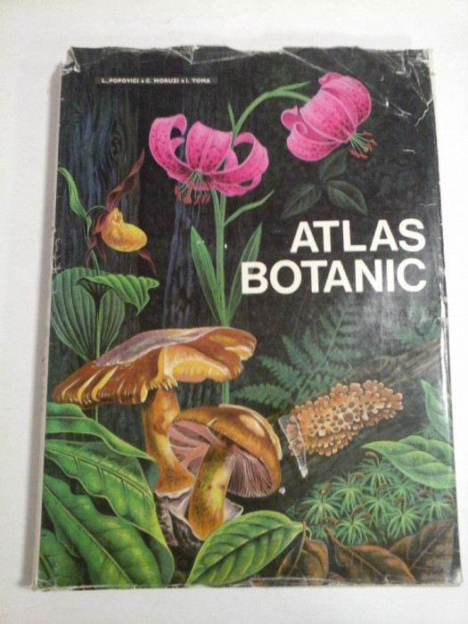 ATLAS BOTANIC - Lucia Popovici 1973