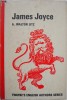 James Joyce - A. Walton Litz (editie in limba engleza)