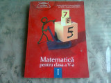 MATEMATICA PENTRU CLASA A V-A - CATALIN STANICA VOL.I