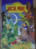 MICUL PRINT-ANTOINE DE SAINT-EXUPERY-272064