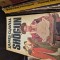Shogun 1 vintage