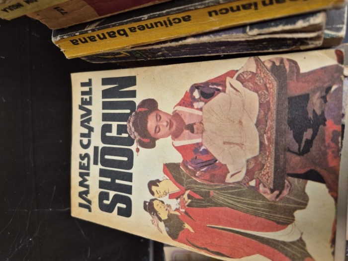 Shogun 1 vintage
