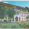 bnk cp Cluj - Muzeul de arta - circulata