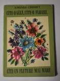 Iordan Chimet - C&acirc;te-o g&acirc;ză, c&acirc;te-o floare, c&acirc;te-un fluture mai mare - copertă și ilustrații Lena Constante 1974
