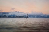 Tablou Canvas, "Copaci singuratici &icirc;n ceața dimineții", Apa, Ceață, Copaci, Munți, Răsărit, Nor, Reflexie, Liniște, Natură, &Icirc;ntuneric., 39 x 26 cm, CM