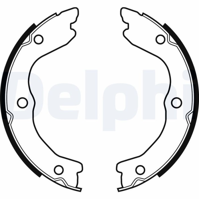 DELPHI LS2038 Set saboti frana, frana de mana