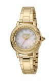 Cumpara ieftin Ceas Dama, Just Cavalli, Glam Chic JC1L151M0065 - Marime universala