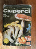 Ciuperci, mic atlas - Eugenia Eliade / R8P3S, Alta editura