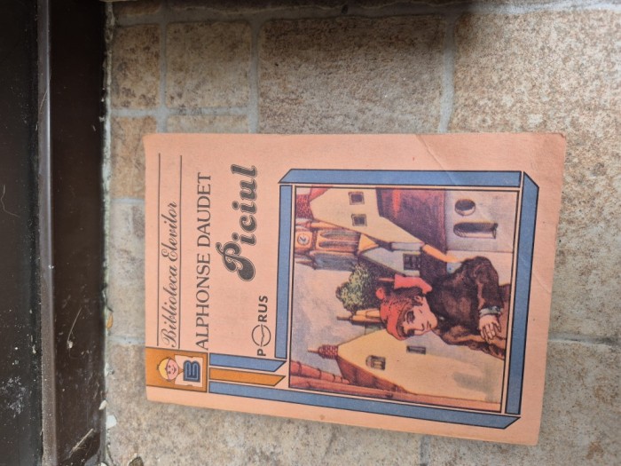 Piciul vintage