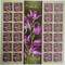 ROMANIA 2020 ORHIDEE - Set 4 coli mari cu cate 24 timbre LP.2294 MNH**