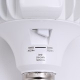 High power LED 30W E27 CCT, Fumagalli