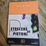 Petrecere de pietoni - Ioan S. Pop versuri