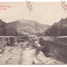 4955 - RESITA, Caras-Severin, Railway, Romania - old postcard - used - 1913