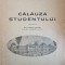 CALAUZA STUDENTULUI-MIHAI DAVID