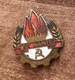 QW9 N8 59 - insigna - comunism RPR - Pionieri - Tot inainte