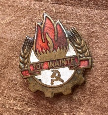 QW9 N8 59 - insigna - comunism RPR - Pionieri - Tot inainte