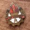QW9 N8 59 - insigna - comunism RPR - Pionieri - Tot inainte