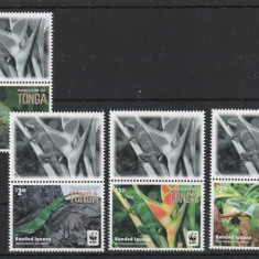 Tonga 2016-Fauna,WWF,Cameleoni,serie 4 val.cu vigneta,sus,poz.4,MNH,Mi,2098-2101