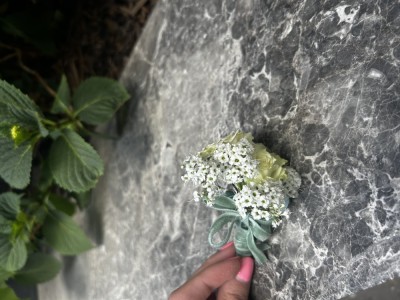 cocarde nunta foto