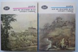 Cumpara ieftin Anii de drumetie ai lui Wilhelm Meister, 2 volume - J. W. Goethe, Roman clasic