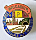 INSIGNA FRUNTAS BRIGADIER RPR SANTIERELE NATIONALE ALE TINERETULUI