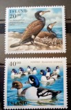 Islanda 1996 păsări rate, fauna serie 2v neștampilata