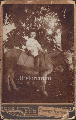 HST P2/239 Poză copil călare pe asin/măgar foto