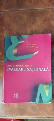 EVALUARE NATIONALA LIMBA SI LITERATURA ROMANA IONITA STAN LASCAR ART foto