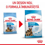 Royal Canin Maxi Starter Mother &amp; Babydog, mama și puiul, hrană uscată c&acirc;ine, 15kg