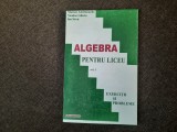 ALGEBRA PENTRU LICEU VOL 1 NICULAE GHICIU