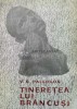 Tineretea lui Brancusi - V. G. Paleolog, Editura Tineretului, Coperta Brosata, Stare Buna, Biografii Memorii