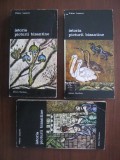 VICTOR LAZAREV - ISTORIA PICTURII BIZANTINE - VOL.1/2/3 - SET COMPLET