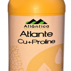 Ingrasamant Atlante Cu ProLine 1 l