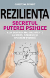 Reziliența. Secretul puterii psihice. Cum să devenim mai rezistenți la stres, depresii și epuizare psihică - Paperback brosat - Christina Berndt - All