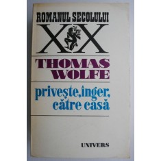 Priveste, inger, catre casa &ndash; Thomas Wolfe