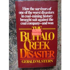 The Buffalo Creek Disaster - Gerald M. Stern