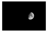 Tablou Canvas, "Luna singuratică pe cerul nopții", Lună, &Icirc;ntuneric, Certeț, Astronomie, Umbră, 39 x 26 cm, CMCLASS