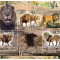 GABON 2022 - Fauna, Lei / set complet colita + bloc
