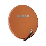 Breast Cancer (What You Really Need to Know)