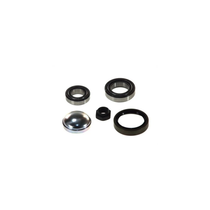 Set rulment roata PEUGEOT BOXER bus 230P BTA H2C016BTA