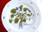 FARFURIE DECORATIVA PORTELAN LANGENTHAL ELVETIA DECOR BOTANICA - TOPORASI ANUL 1959 26 CM