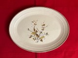 PLATOU ENGLEZESC- MARCAJ ROYAL DOULTON LAMBETHWARE - WILD CHERRY L34CM