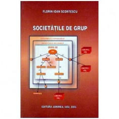 Florin Ioan Scortescu - Societatile de grup - 105097