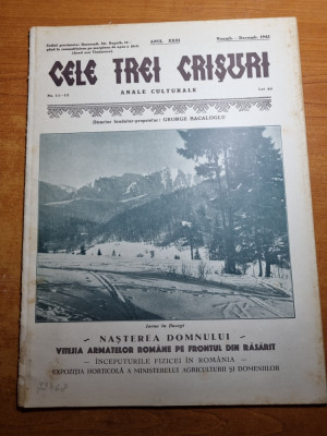 cele trei crisuri noiembrie-decembrie 1942-antonescu,regele mihai,hitler foto