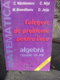 CULEGERE DE PROBLEME PENTRU LICEU. ALGEBRA CLASELE IX-XII - C. NASTASESCU