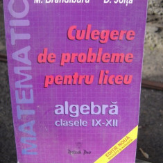 CULEGERE DE PROBLEME PENTRU LICEU. ALGEBRA CLASELE IX-XII - C. NASTASESCU