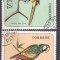 Panama 1967 Birds, used AE.059