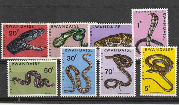 Fauna ,serpi,Rwanda.